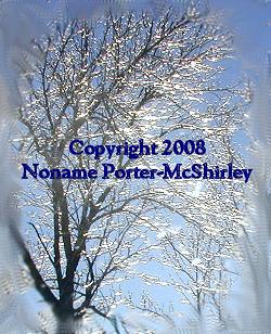 Copyright 2008 Noname Porter-McShirley